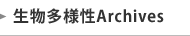 CHINA WEB