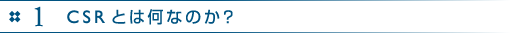 1　CSRとは何なのか？
