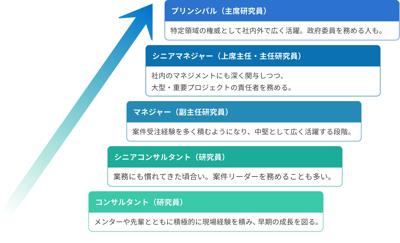 入社後の年次に応じてコンサルタントからプリンシパルへ成長するキャリアパス図