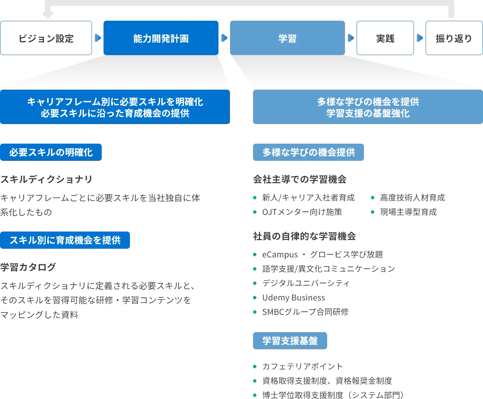 ビジョン設定から学習・実践・振り返りまでの能力開発プロセスと支援内容を示した図