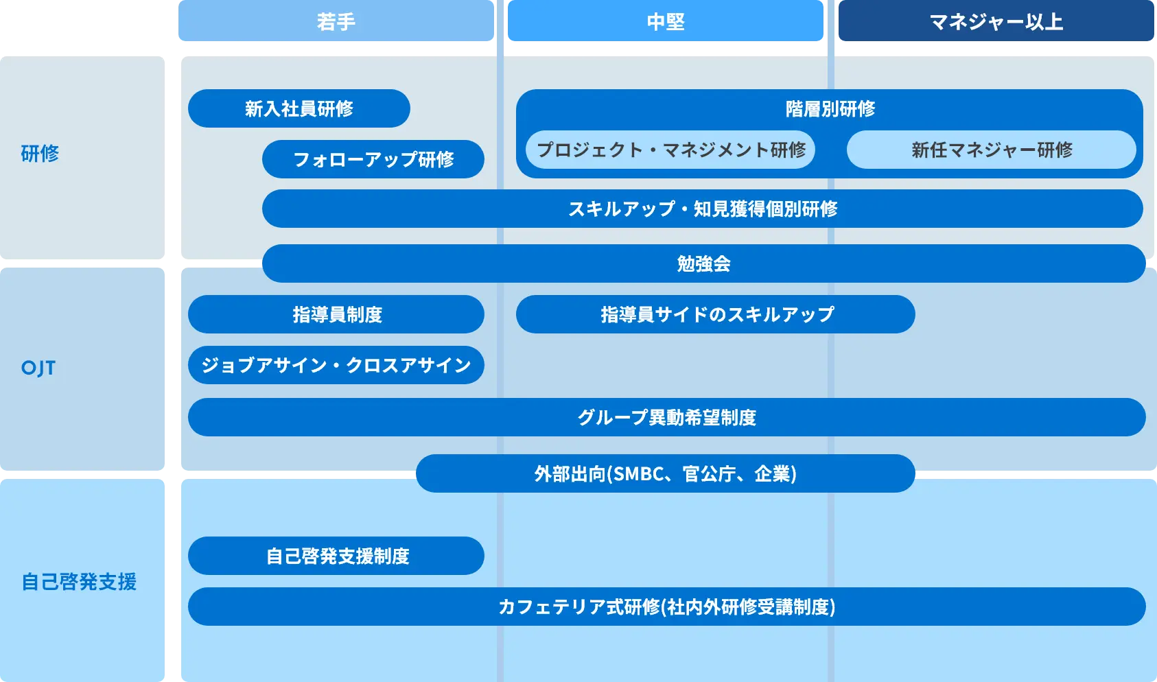 若手からマネージャーまでの研修・OJT・自己啓発支援を示した育成体制を示した図